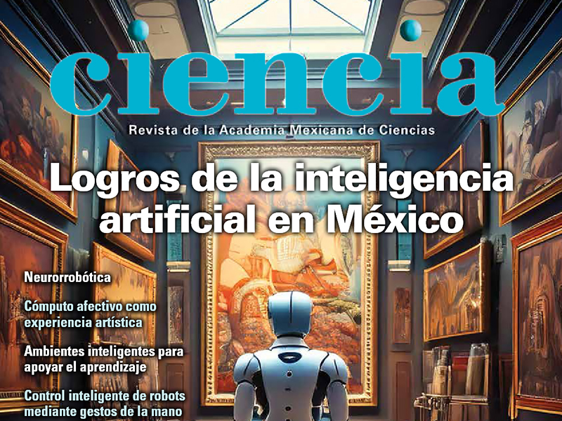 El cómputo afectivo como experiencia artística